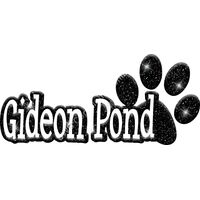 GLT17 BLACK GLITTER Thumbnail